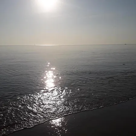 Villino Giovanna Wi-fi Ac Prima Fila Mare Pineta Panzió 3*