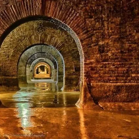 Villino Giovanna Wi-fi Ac Prima Fila Mare Pineta 3*