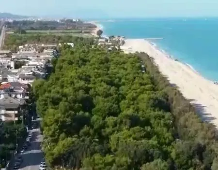 Panzió Villino Giovanna Wi-fi Ac Prima Fila Mare Pineta 3*