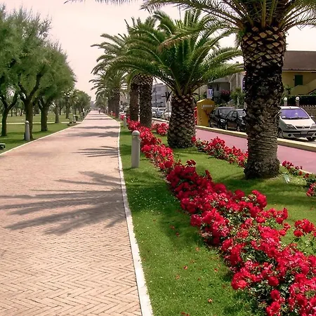 Villino Giovanna Wi-fi Ac Prima Fila Mare Pineta 4*