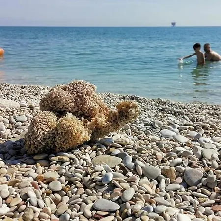 Villino Giovanna Wi-fi Ac Prima Fila Mare Pineta 4* Porto SantʼElpidio