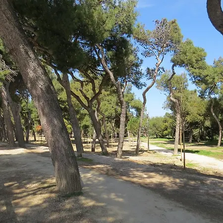 לינה וארוחת בוקר Villino Giovanna Wi-fi Ac Prima Fila Mare Pineta 4*