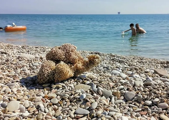 Villino Giovanna 3* Porto Sant'Elpidio